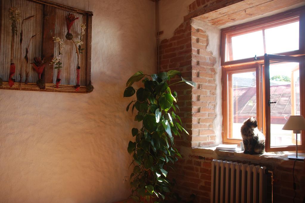 הפסלאו Beguta Guest House מראה חיצוני תמונה