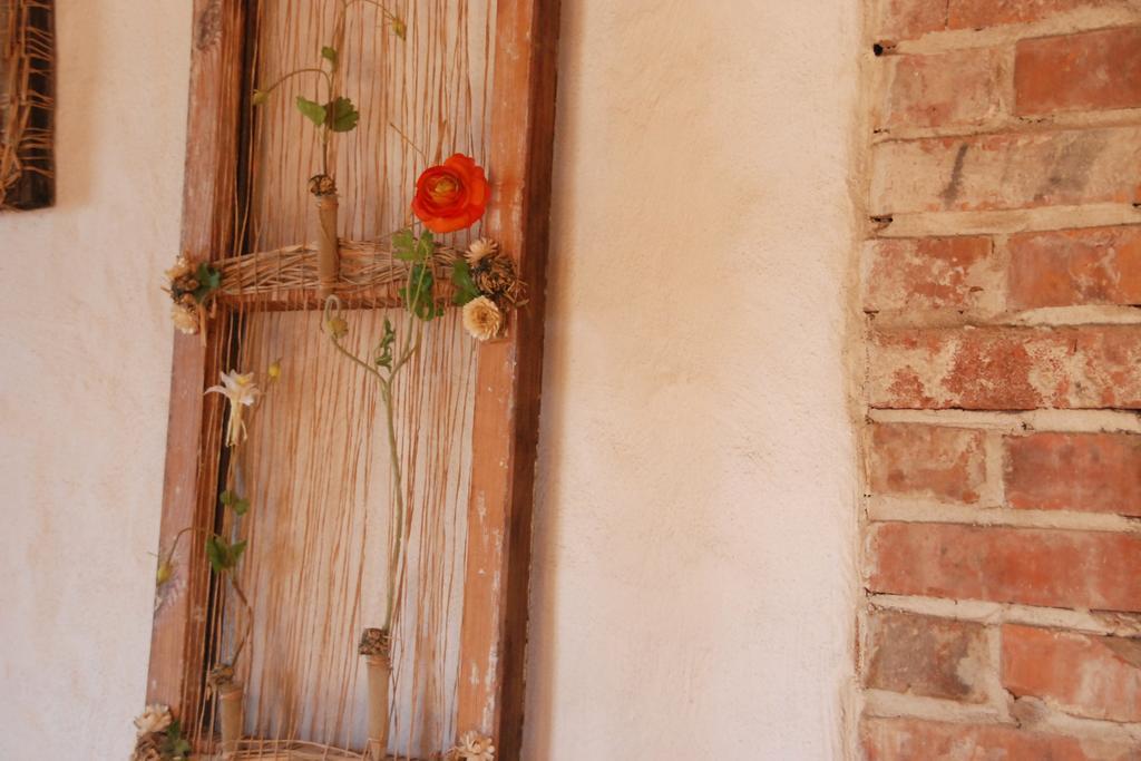 הפסלאו Beguta Guest House מראה חיצוני תמונה