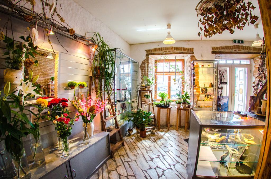 הפסלאו Beguta Guest House מראה חיצוני תמונה