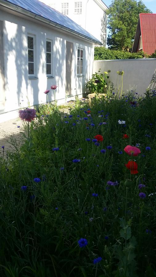 הפסלאו Beguta Guest House מראה חיצוני תמונה